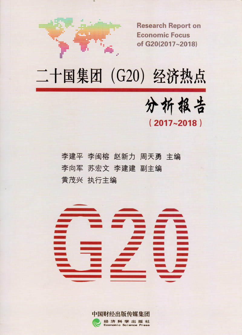 大奶骚妇插b视频二十国集团（G20）经济热点分析报告（2017-2018）